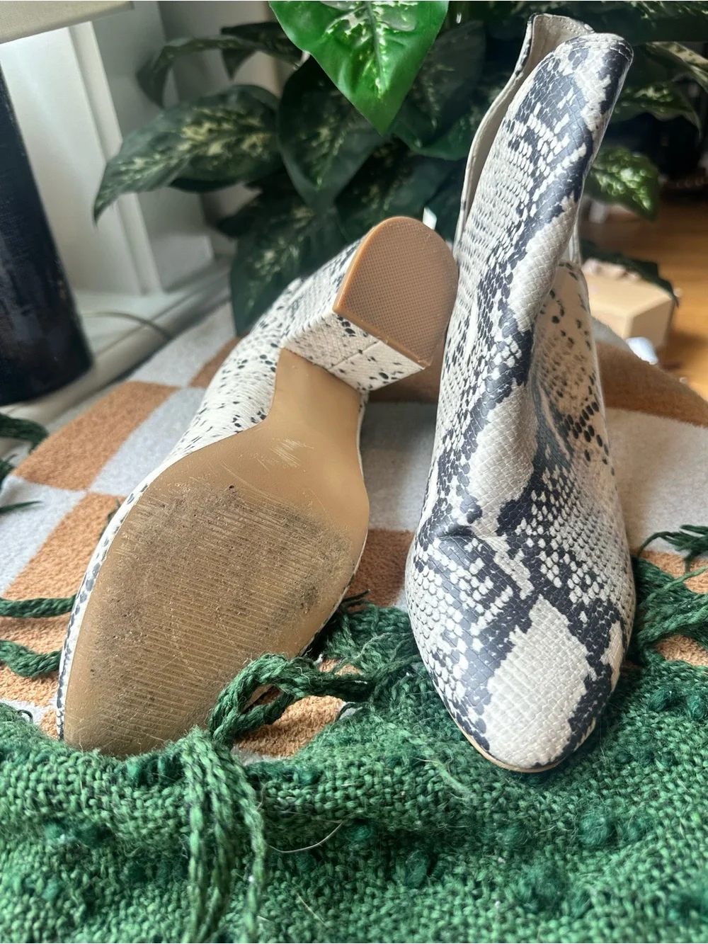 Steve Madden Snake-Print Ankle Booties in Black and Cream
